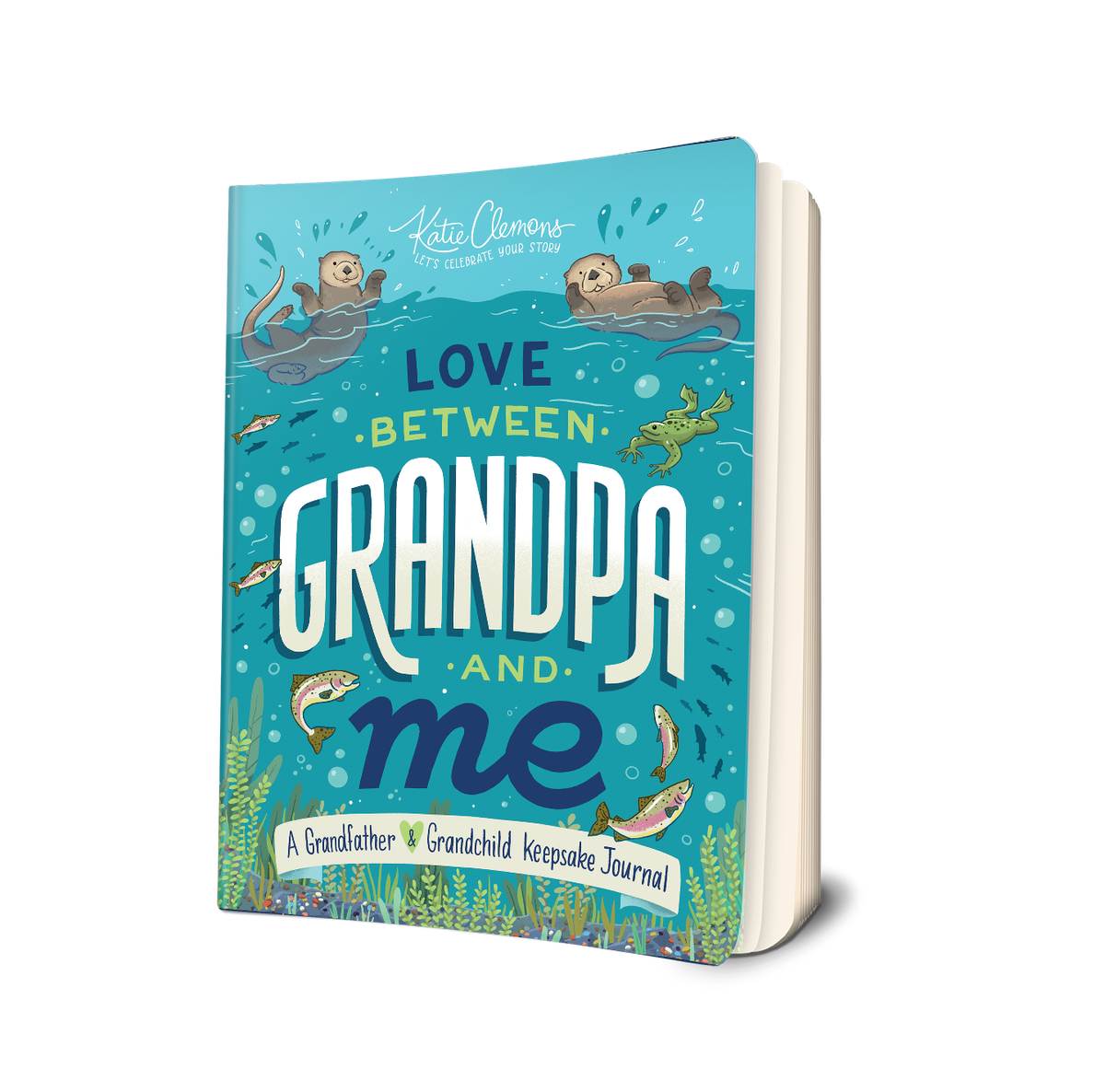 Love Between Grandpa and Me 3D Cover
